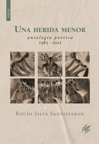 Una herida menor | Rocío Silva Santisteban