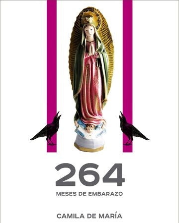 264 meses de embarazo | Camila De María