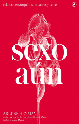 Sexo aún | Arlene Heyman