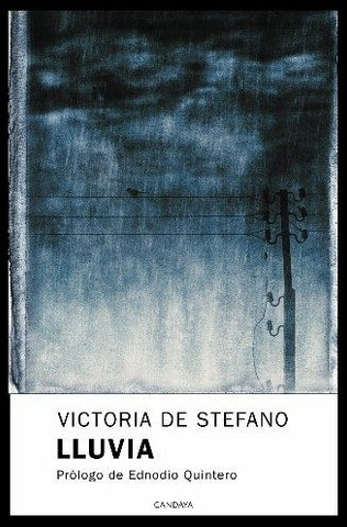 Lluvia | Victoria De Stefano