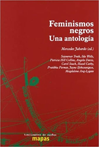 Feminismos negros | Autoras Varias
