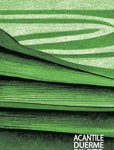 Acantile duerme piloto | María Auxiliadora Balladares